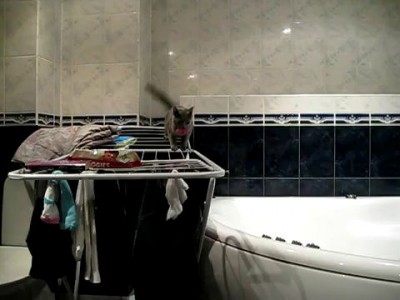 Полоса препятствий