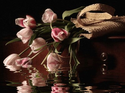 Солнышко мое