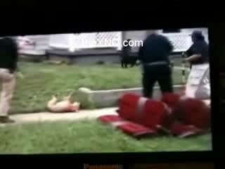 Питбуль атаковал полицейского