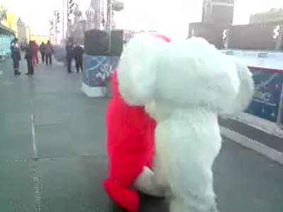 Драка чебурашек