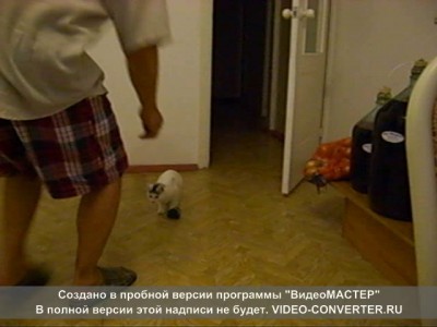 Вратарь настоящий.