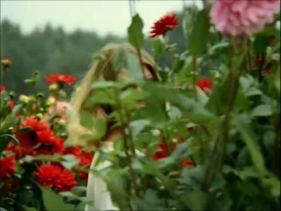 Соседство с галактикой "Кин-дза-дза" - наша беда...