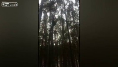 русский Тарзан