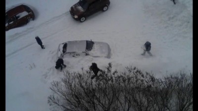 плач владельца
