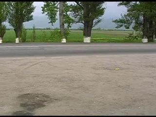 Мента имеют