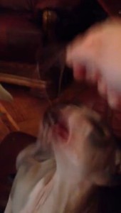 Кушаем чурчхелу