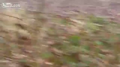 Очень везучие зрители на ралли