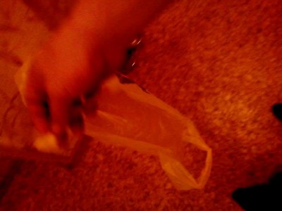 Ловля кота на пакет