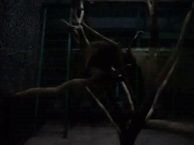 Николаевский зоопарк.