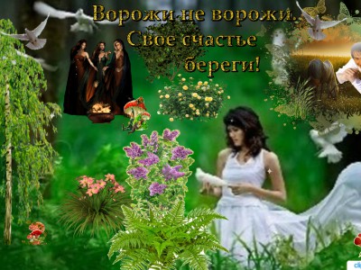 Ворожи не ворожи