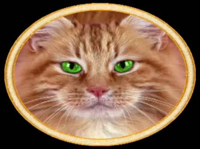 когда весна стучится в дом