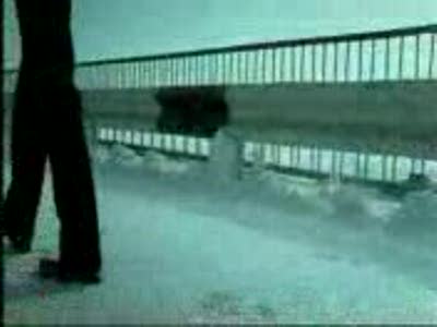 Витас Звезда