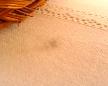 Паука реально колбасит