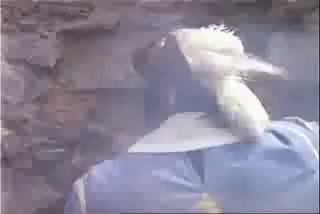 3 мушкетера