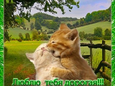 ТАНЦУЙ СО МНОЮ