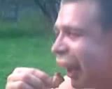 Мопеда ужалила оса! Пипец!!!