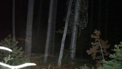 Понаставили камер своих тут...