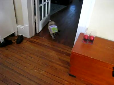 Типа застрял