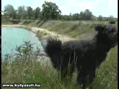 Все на пляж