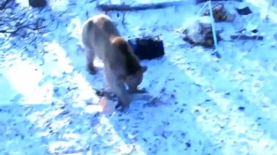 Сходили блять на рыбалку.