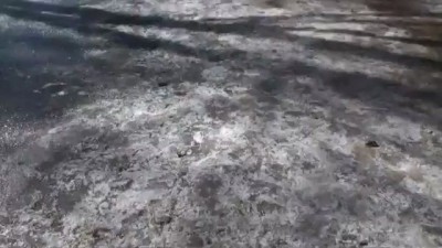 LMF - Sexy and I Know It Russian version