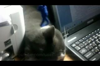 Вечный двигатель