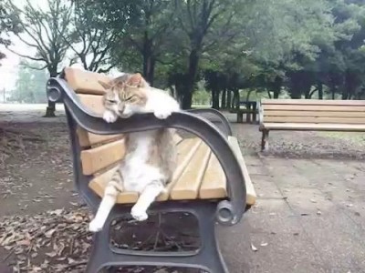 Взгрустнулось