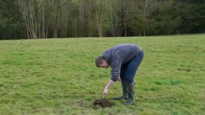 Петарда, куча, бабах