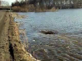 Зеленогорск - Заозерный. 11.04.2013