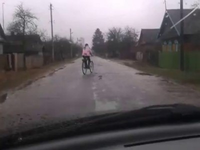 Синька лисапедная