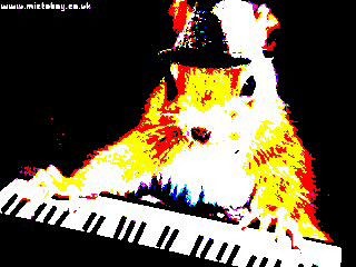 Полёт шмеля