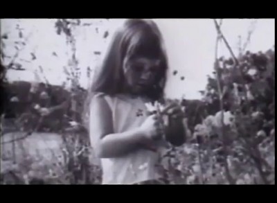 Sunset, Bird Of Prey by Fatboy Slim (High res / Official Video).mp4