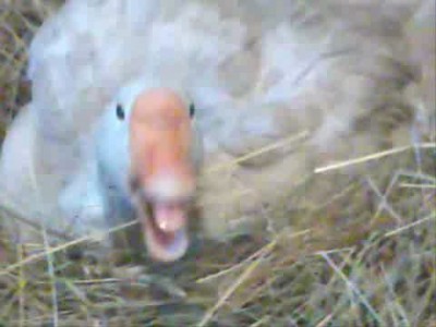 Уйди, не мешай