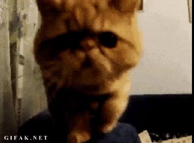 Плевал я на закон