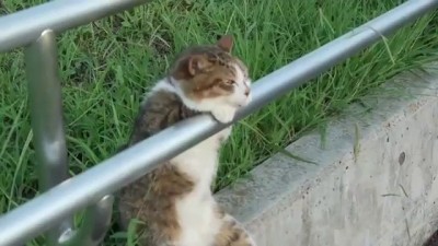 А Я Пожалуй Тут Посижу. LOL