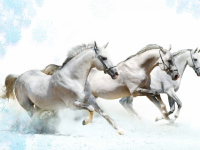 Счастливой зимы!