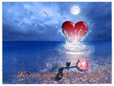 Спокойной ночи!