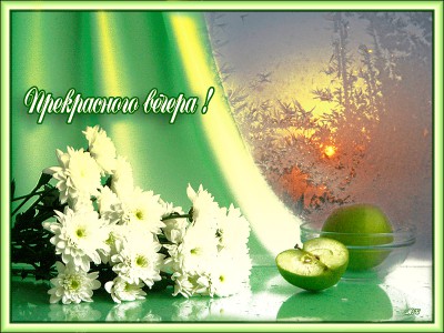 Прекрасного вечера !