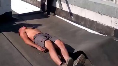 Засохшая муха?