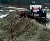 Гости из леса!