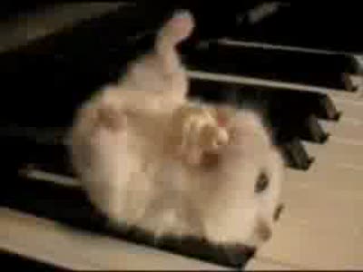 Когда он ест, ему все до лампочки