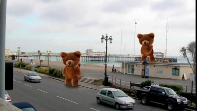 Медведи монстры