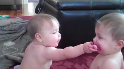 Делим соску