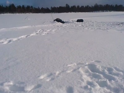 Че-то сегодня никакого клева