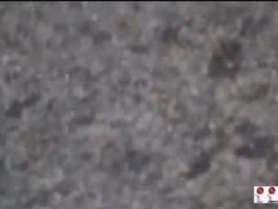 Сбитые автовозам ...