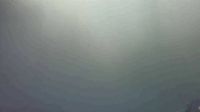 Я хотел любви...