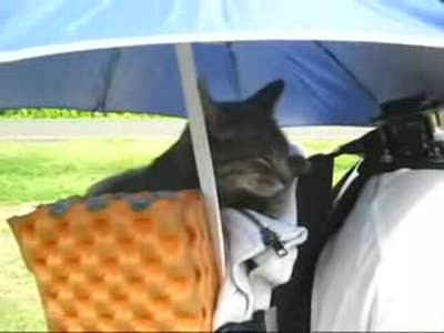 мы всегда вместе