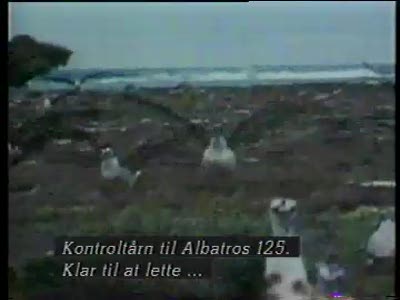 Albatross Airlines