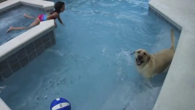 Смешные собаки чихают