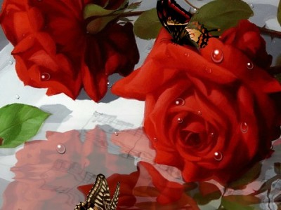 Розы и бабочки